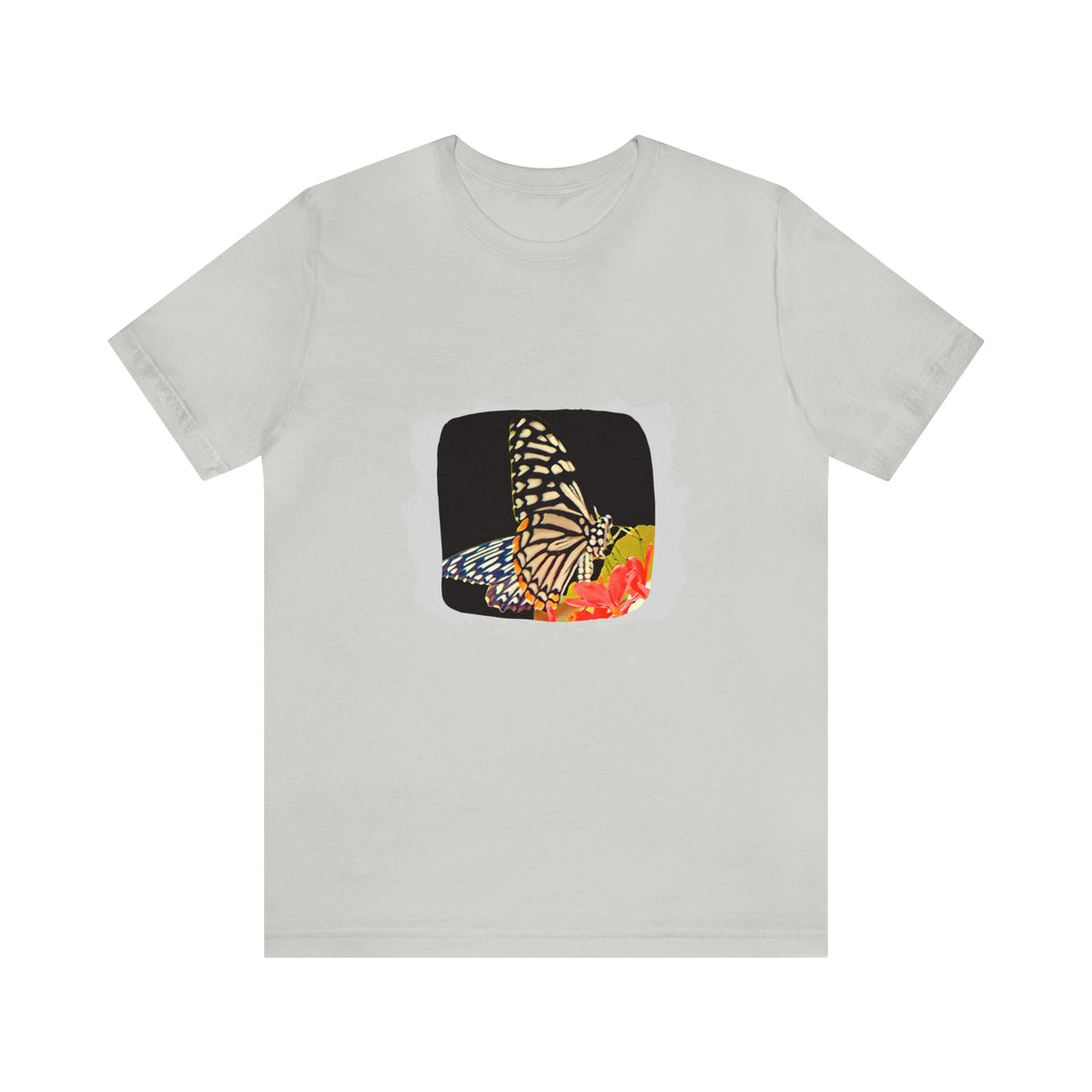 Butterfly Transformation Tee – Trendy Nature-Inspired Summer Vibes